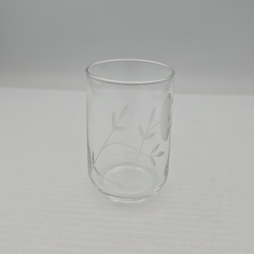 Princess House Heritage Juice Glass 3-1/4" France Etched Floral 4 Oz #037